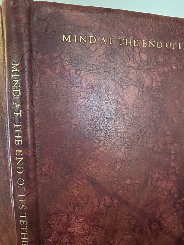 Mind At The End Of Its Tether - Image 7