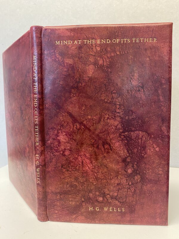 Mind At The End Of Its Tether - Image 4