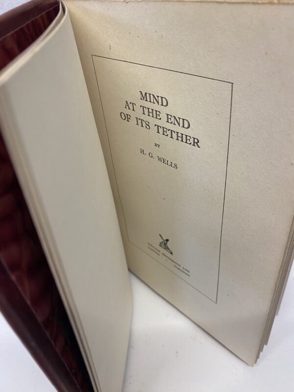 Mind At The End Of Its Tether - Image 2