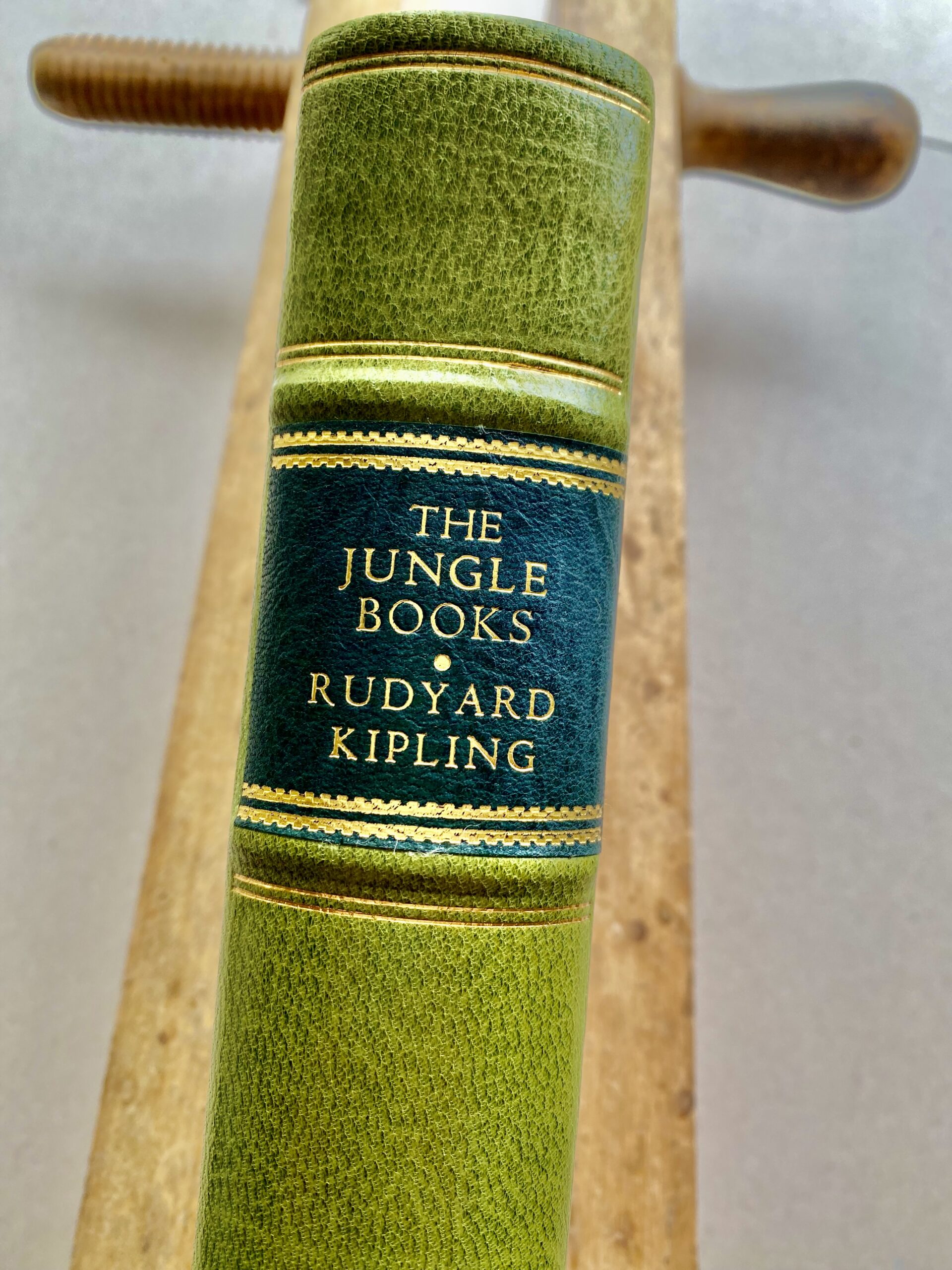 The Jungle Books by Rudyard Kipling - Image 8