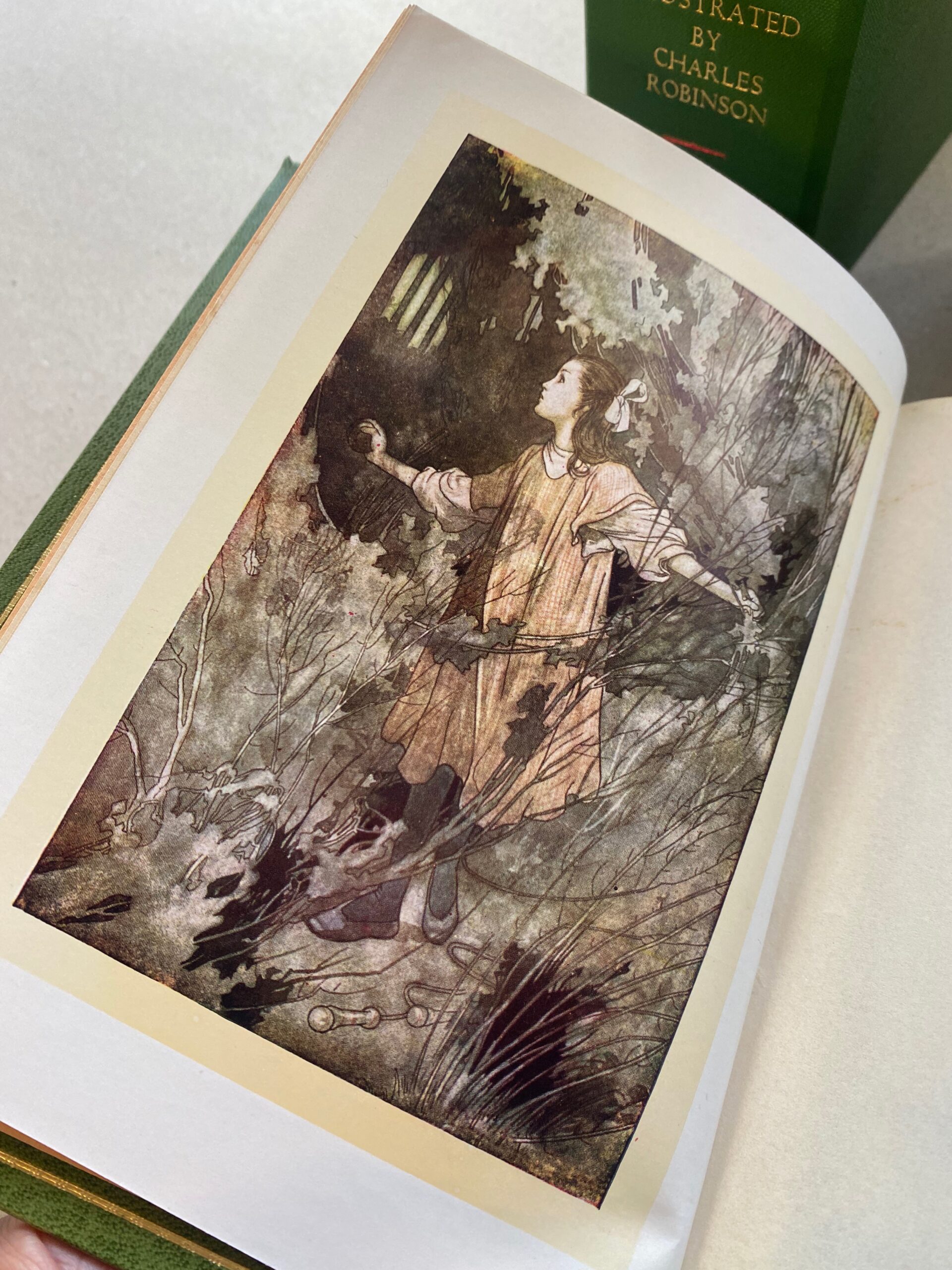 The Secret Garden - Image 7